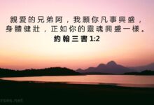 生命中的宝贝-生命读经 - Living Bible study